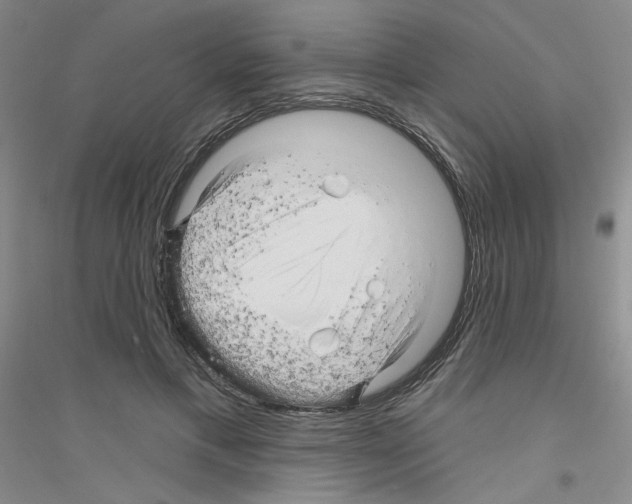 X0000116870597201002021129