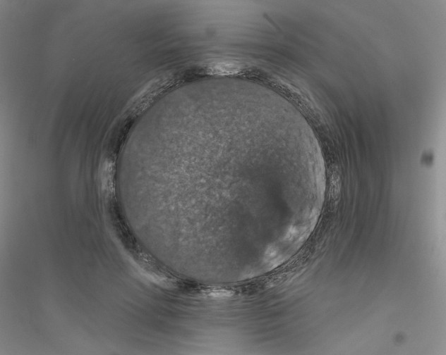 X0000116870598201002021129