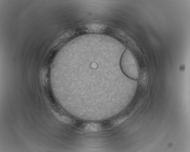 X0000116870599201002021129