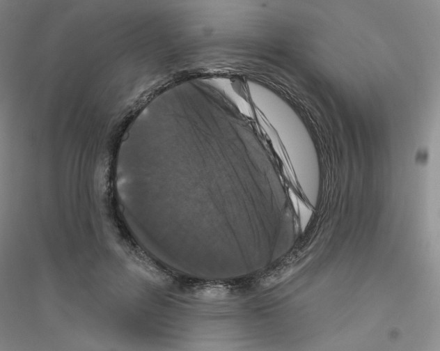 X0000116870600201002021129