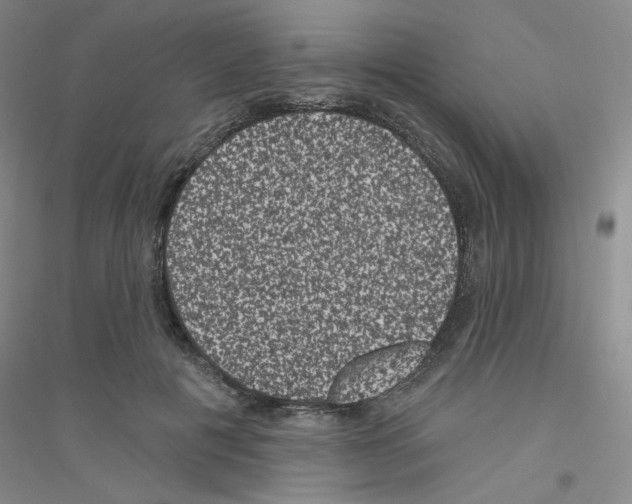 X0000116870601201002021129