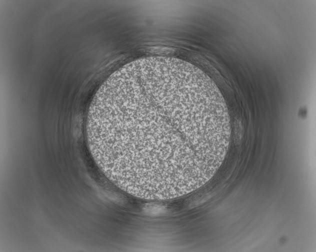 X0000116870602201002021129