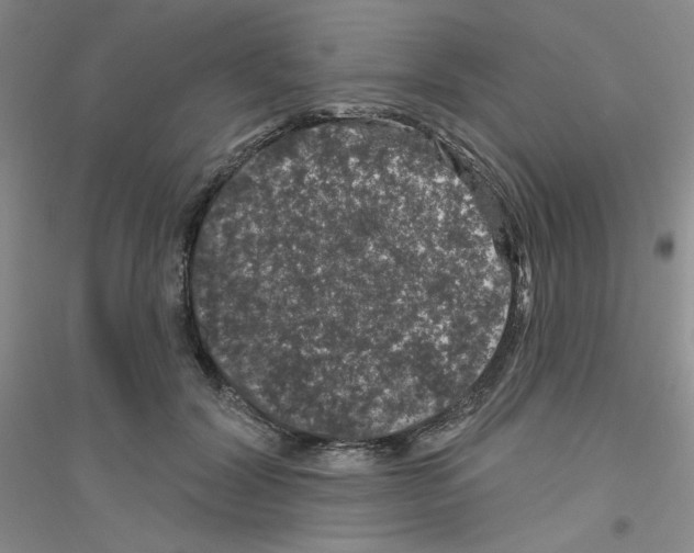 X0000116870604201002021129
