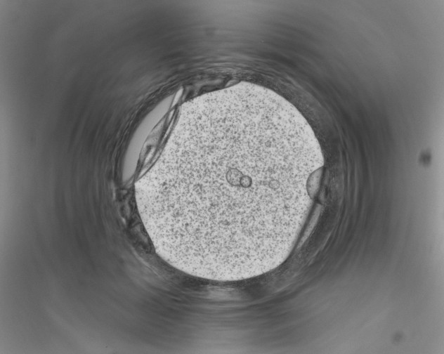 X0000116870605201002021129