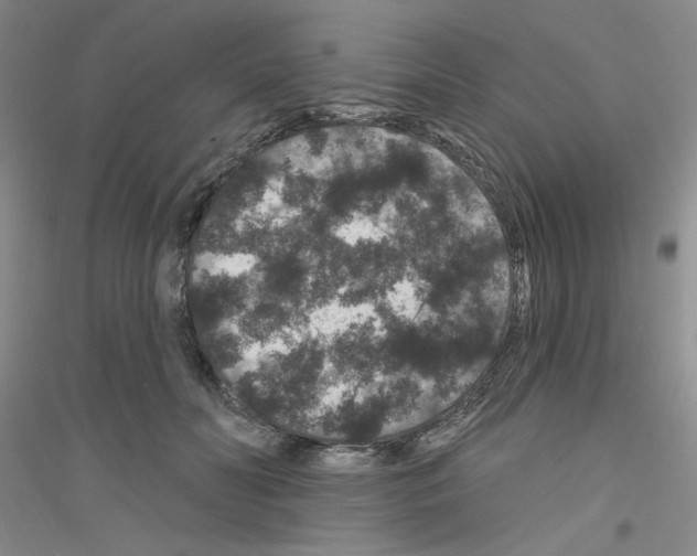 X0000116870606201002021129