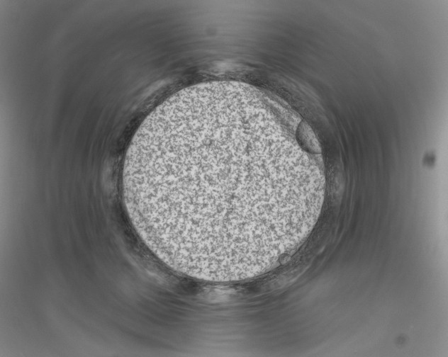 X0000116870607201002021129