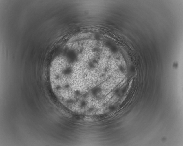 X0000116870608201002021129