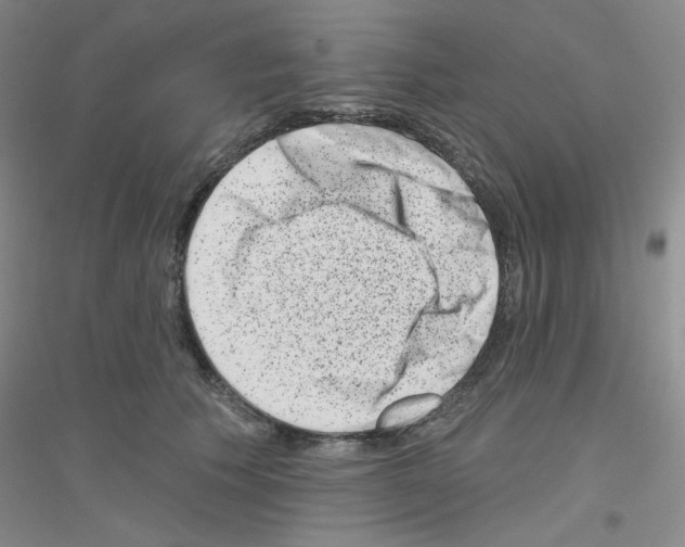 X0000116870609201002021129