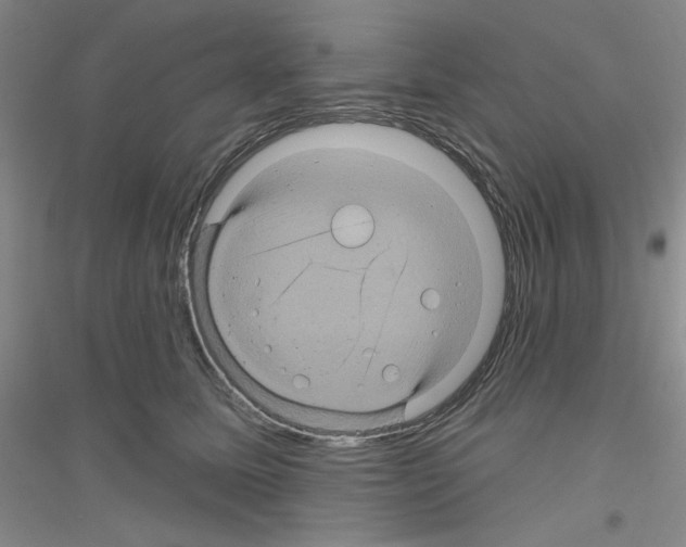 X0000116870611201002021128