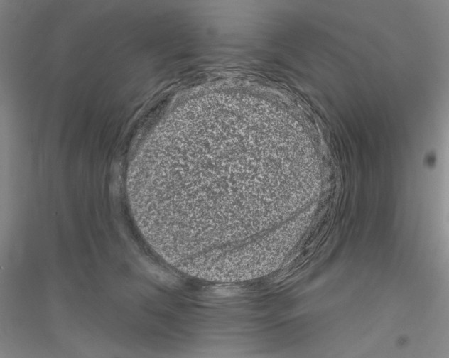 X0000116870612201002021128