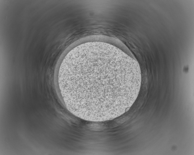 X0000116870615201002021128