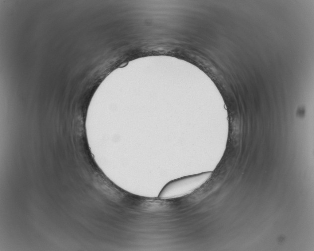 X0000116870617201002021128