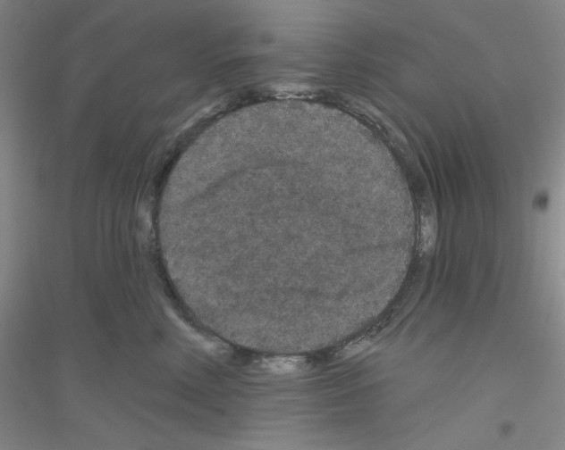 X0000116870618201002021128