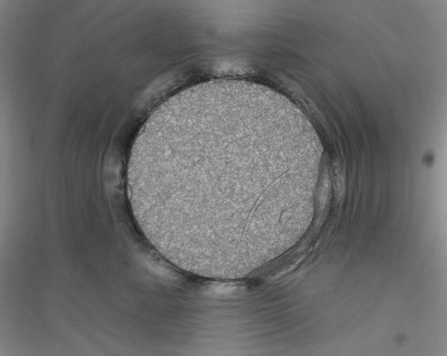 X0000116870619201002021128