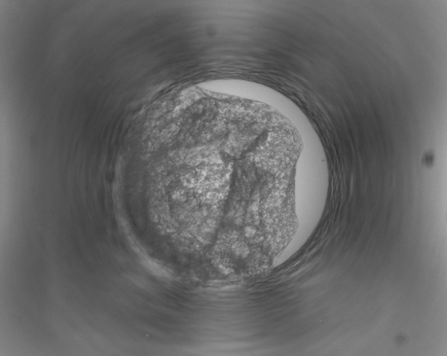 X0000116870620201002021128