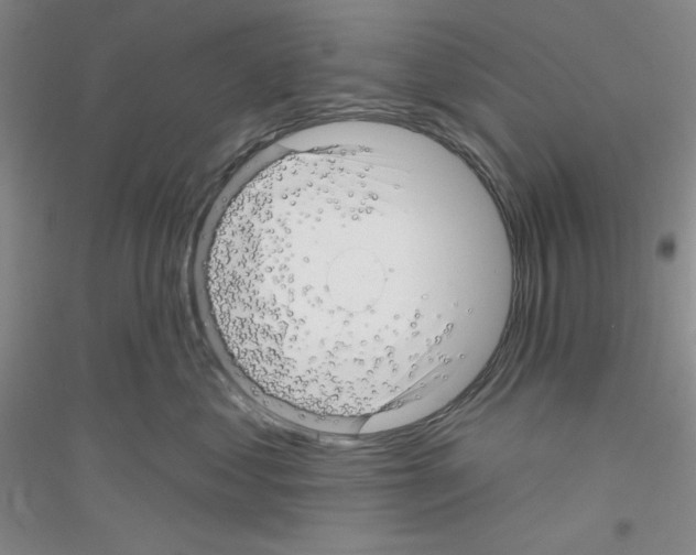 X0000116870621201002021128