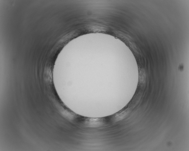 X0000116870622201002021128