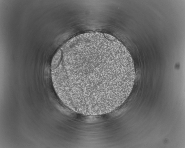X0000116870623201002021128