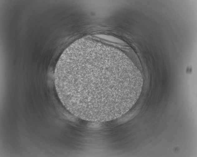 X0000116870624201002021128