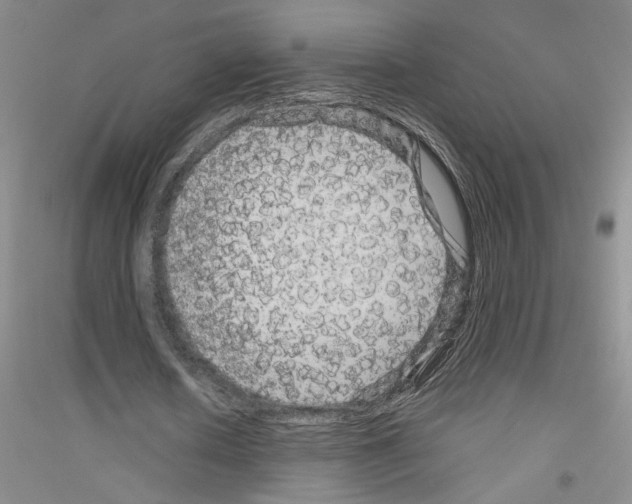 X0000116870626201002021128
