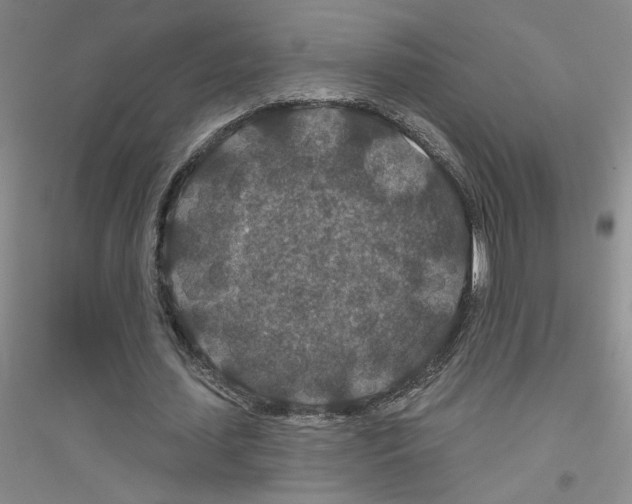 X0000116870627201002021128