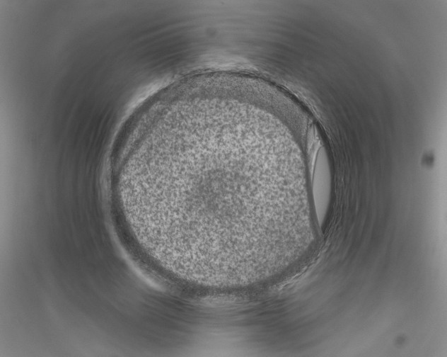 X0000116870630201002021128