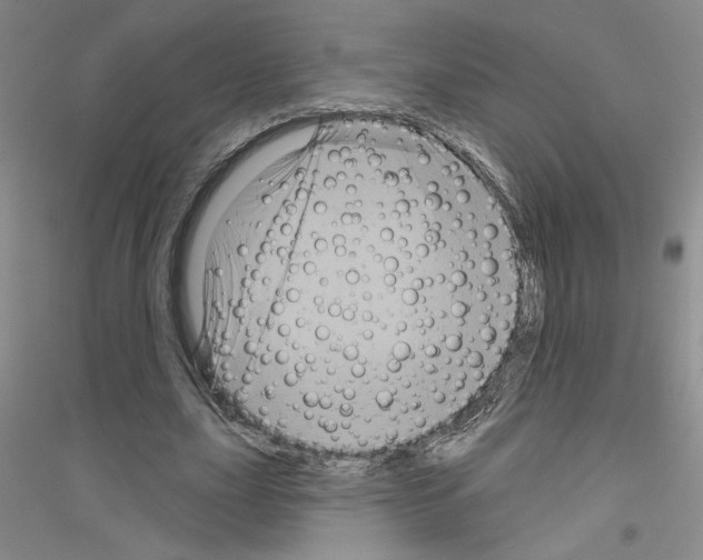 X0000116870631201002021128