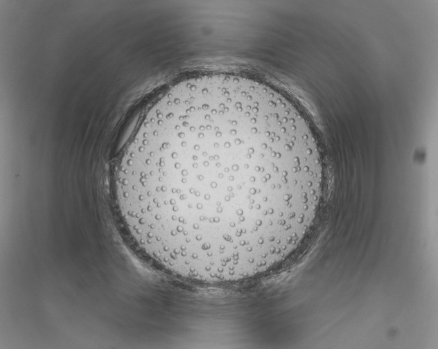 X0000116870633201002021128