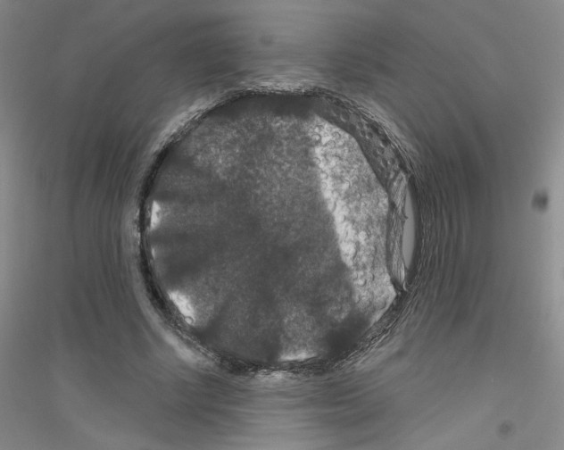 X0000116870634201002021128