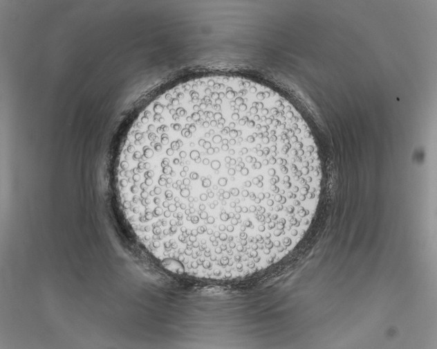 X0000116870635201002021128