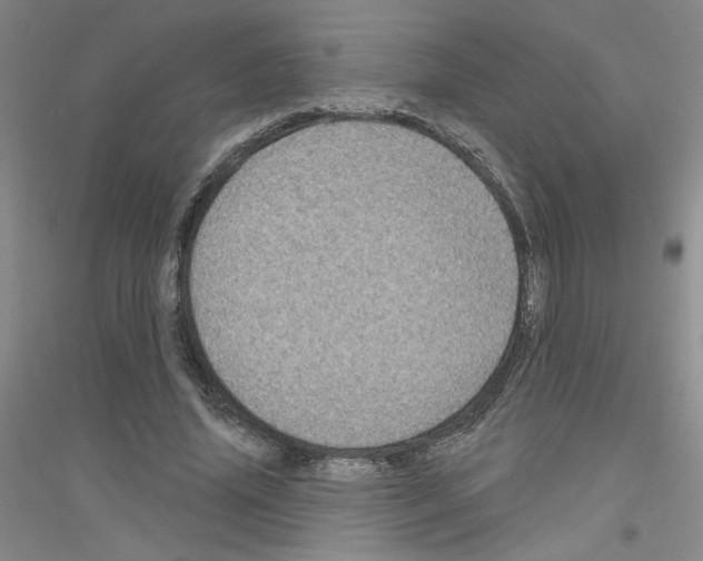 X0000116870636201002021128