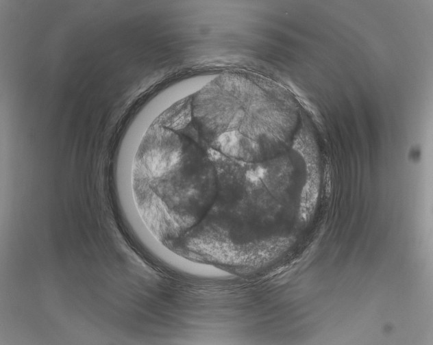 X0000116870637201002021128