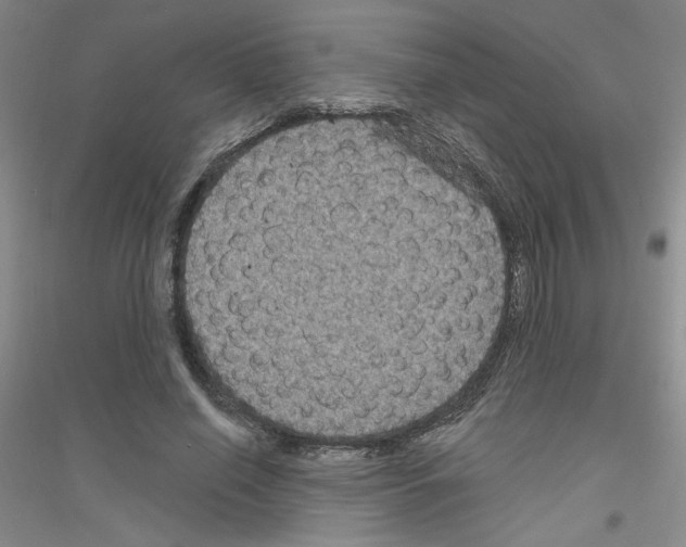 X0000116870638201002021128