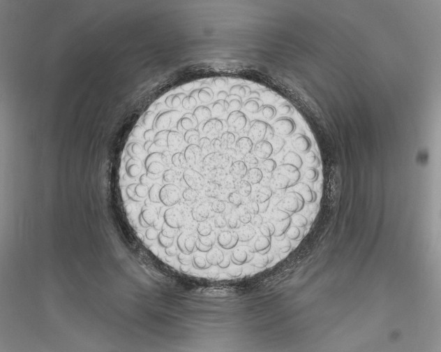 X0000116870639201002021128