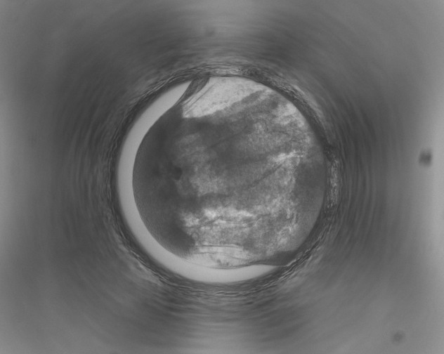 X0000116870641201002021128