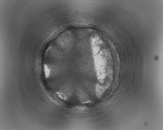 X0000116870642201002021128