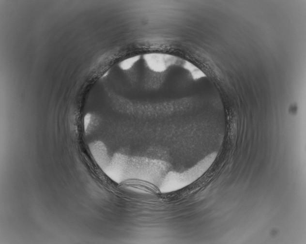 X0000116870643201002021128