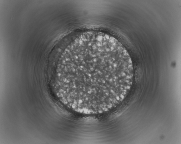 X0000116870644201002021128