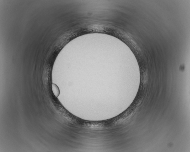 X0000116870645201002021128