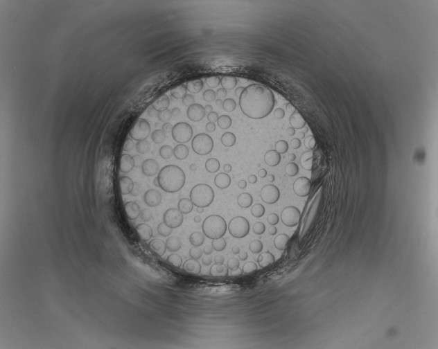 X0000116870646201002021128