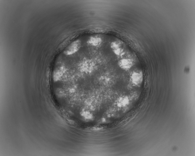 X0000116870647201002021128