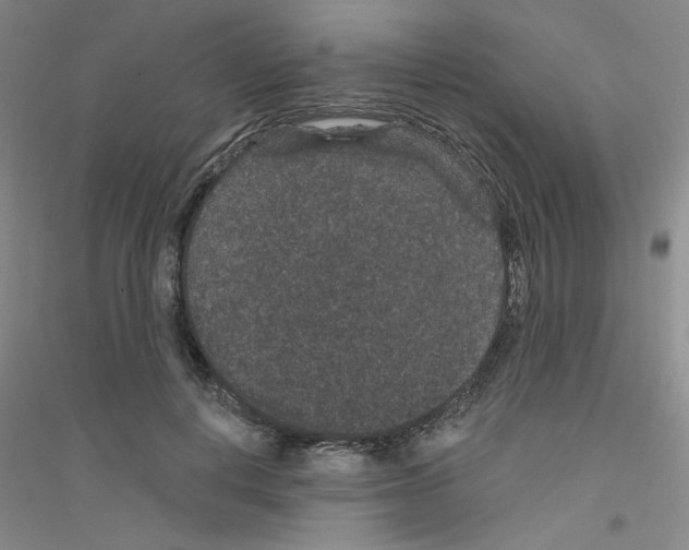 X0000116870648201002021128