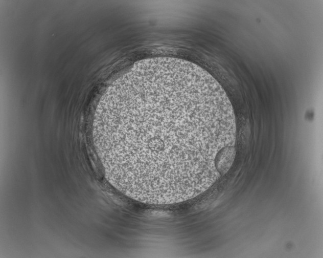 X0000116870649201002021128