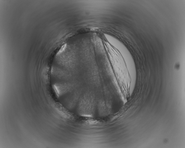 X0000116870650201002021128