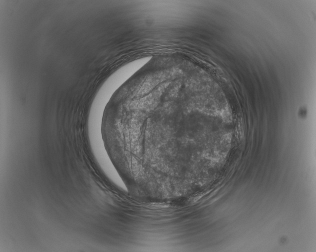 X0000116870651201002021128