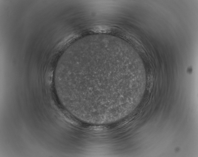 X0000116870652201002021128