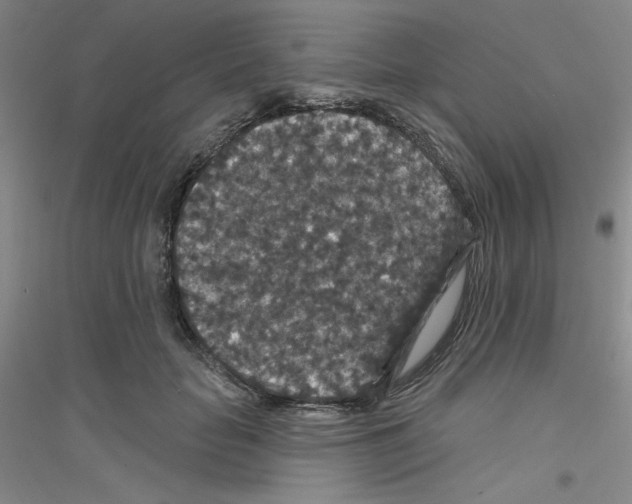 X0000116870653201002021128