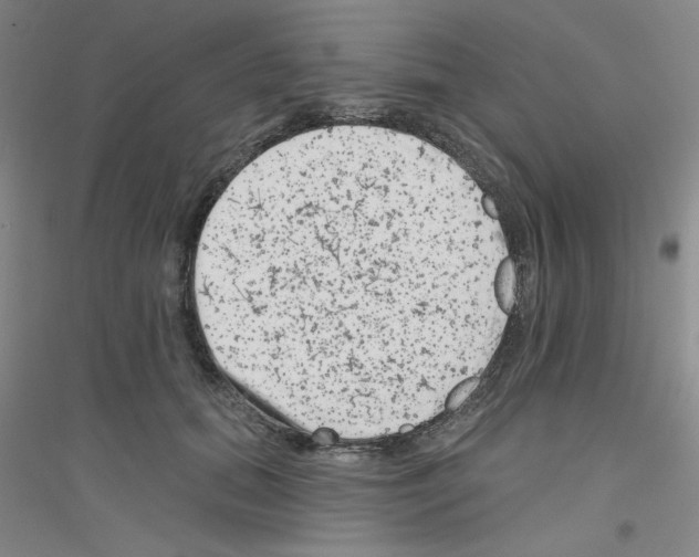 X0000116870655201002021128