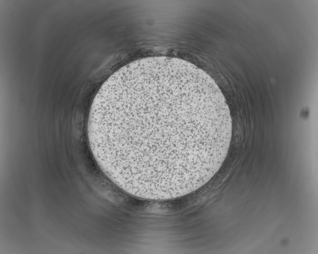 X0000116870656201002021128