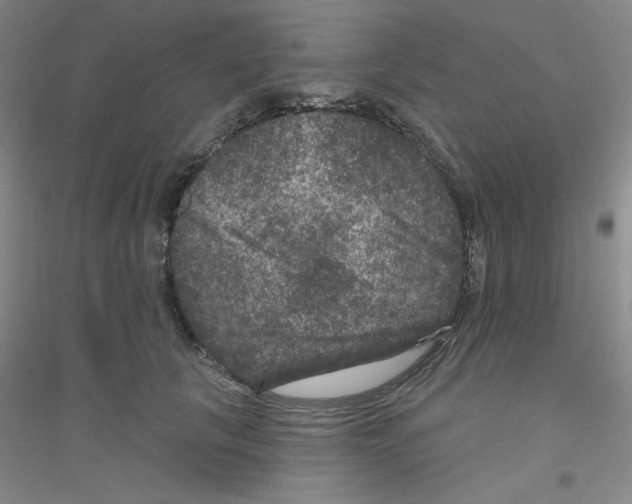X0000116870657201002021128